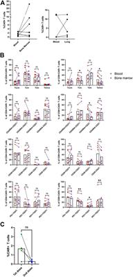 Characterization of the input material quality for the production of tisagenlecleucel by multiparameter flow cytometry and its relation to the clinical outcome